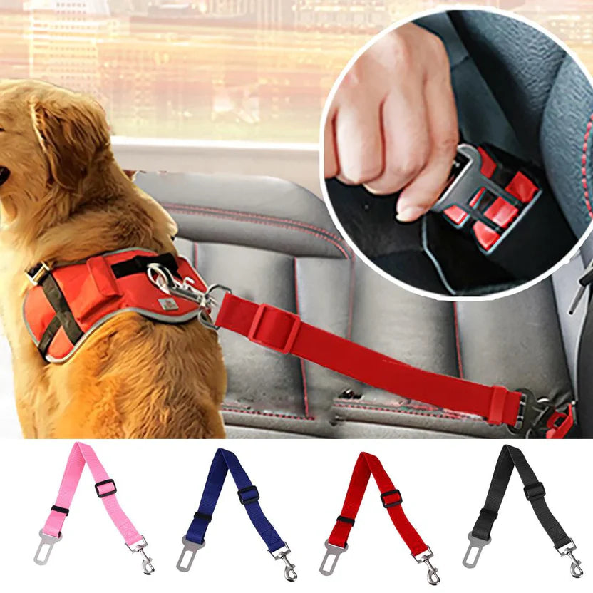 Ceinture de sécurité pour chien (voiture)