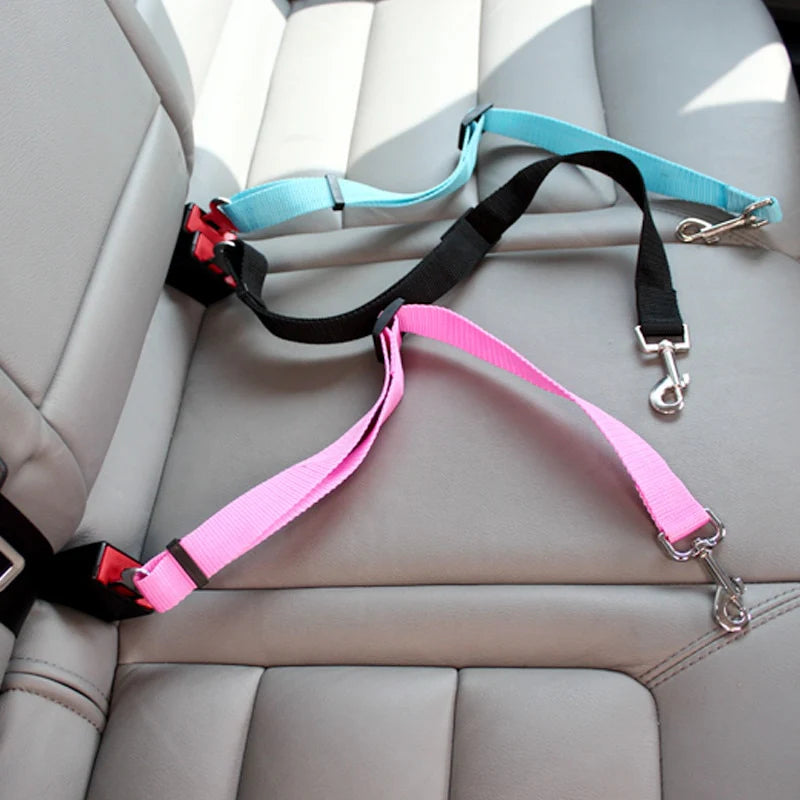 Ceinture de sécurité pour chien (voiture)