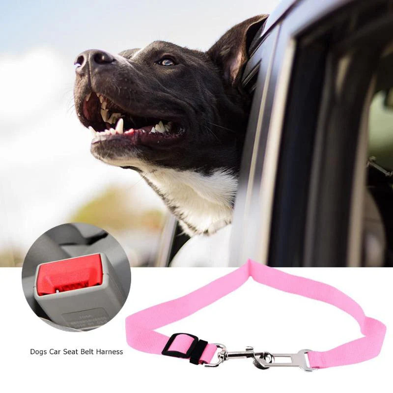 Ceinture de sécurité pour chien (voiture)