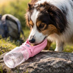 Bouteille d’eau portable pour chien
