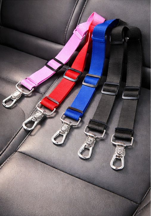 Ceinture de sécurité pour chien (voiture)