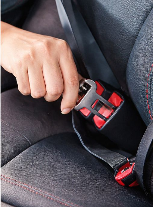 Ceinture de sécurité pour chien (voiture)